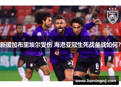 新援加布里埃尔受伤 海港亚冠生死战备战如何？